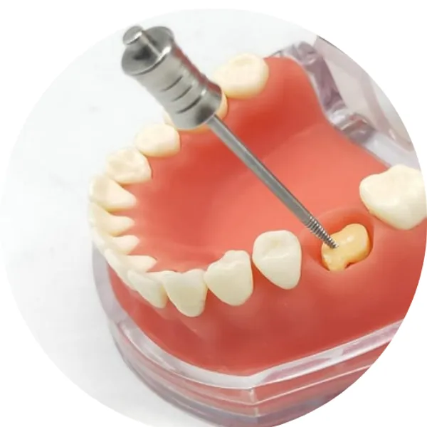 Root_Buddy_Instrument_Pack_Of_3