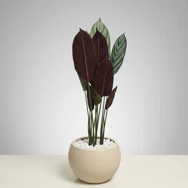 Green_And_Purple_Artificial_Green_And_Purple_Leaf_Plant