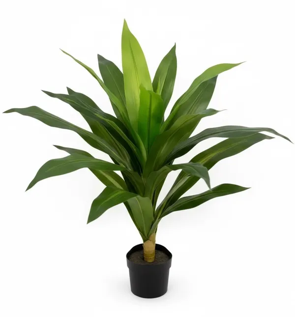 Lush_Green_Accent_Plant_(without_planter)