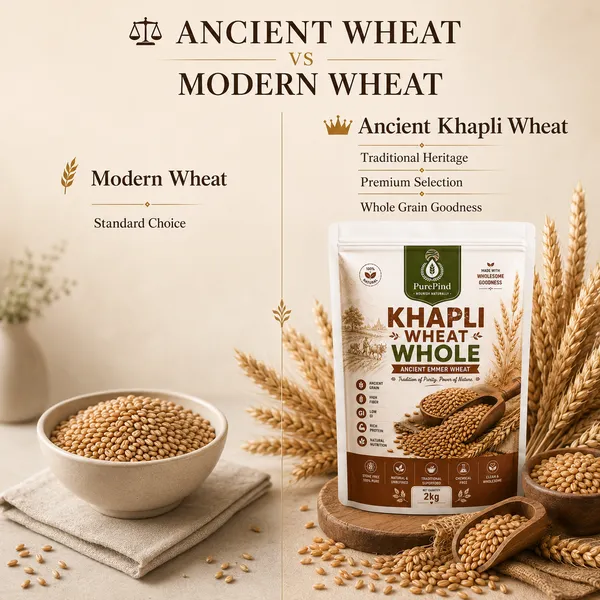 Khapli_Emmer_Ancient_Whole_Wheat_Grain_Pack_Of_1