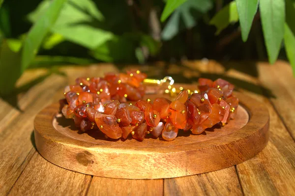 Women_S_Carnelian_Chips_Bracelet_With_Free_Selenite_Tumble