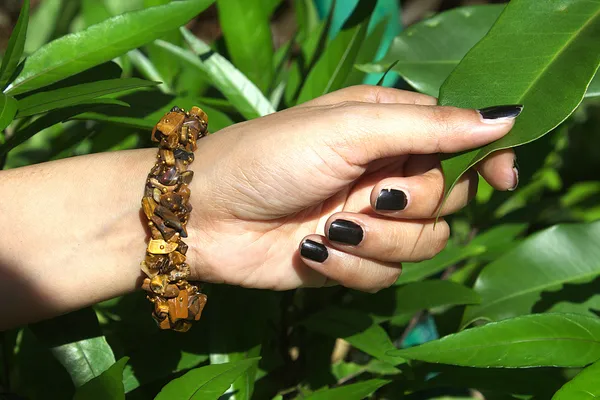 Women_S_Tiger_S_Eye_Chips_With_Free_Selenite_Tumble