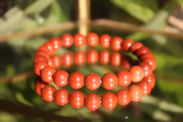Red_Jasper_Bracelet_With_Free_Selentile_Tumble