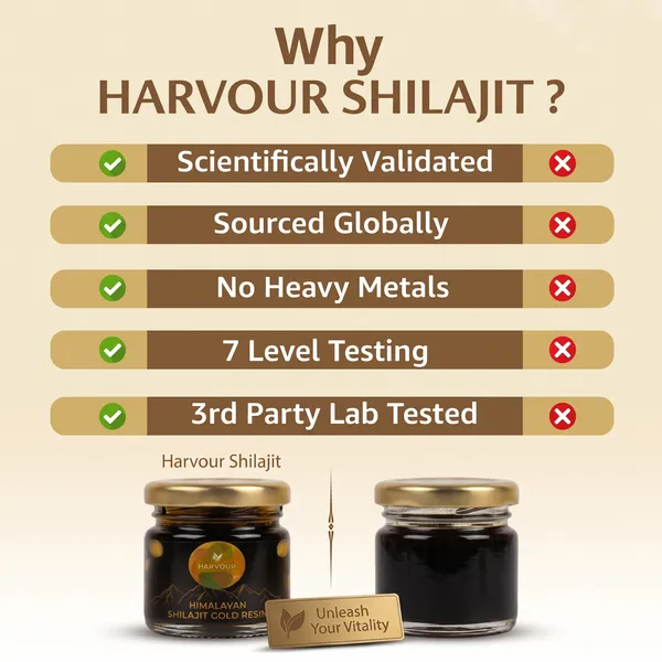 Himalayan_Shilajit_Fulvic_Acid_Resin
