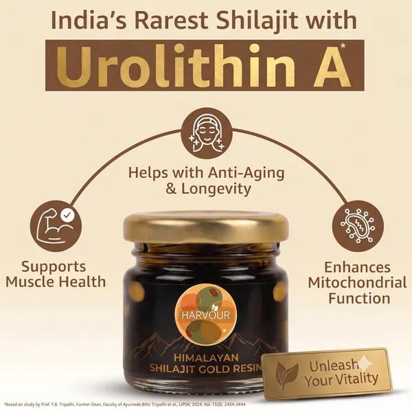 Himalayan_Shilajit_Fulvic_Acid_Resin