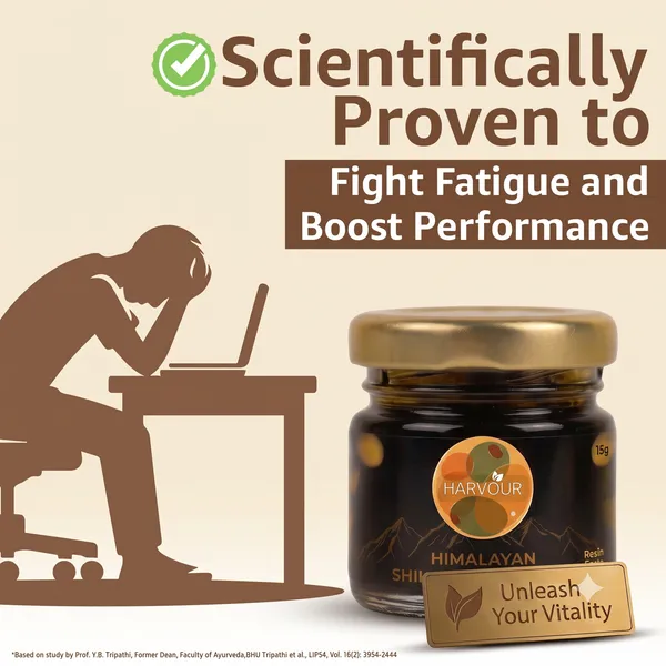 Himalayan_Shilajit_Fulvic_Acid_Resin