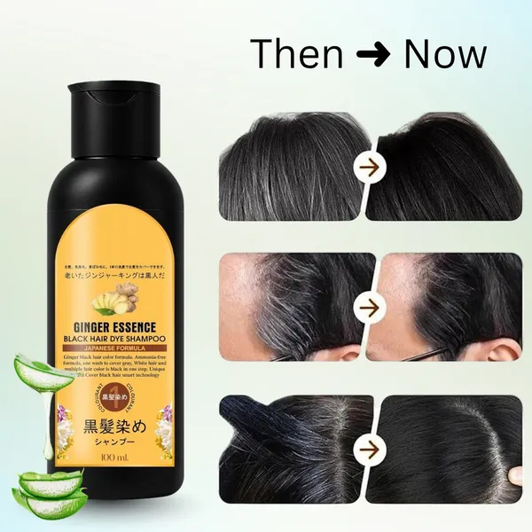 Ginger_Essence_Black_Hair_Dye_Shampoo