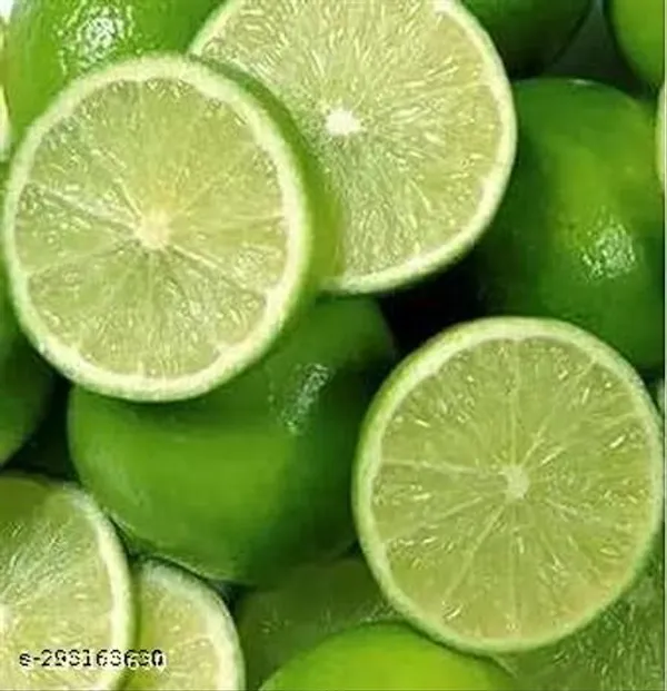 Combo_Pack_Of_4_Sweet_Malta_Lemon_Orrenge_Lemon_Seedless_Lemon_Hybrid_Pati_Lemon_Fruit_Plant