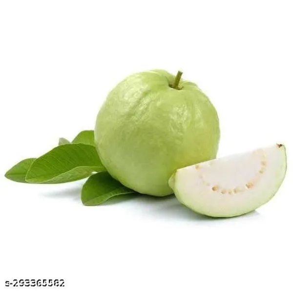Hybrid_Vnr_Guava_Piyara_Plant
