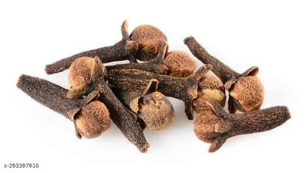 Clove_Lavanga_Plant