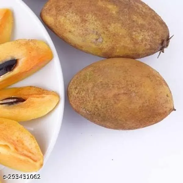Thai_Banana_Red_Chiku_Tree_Plant