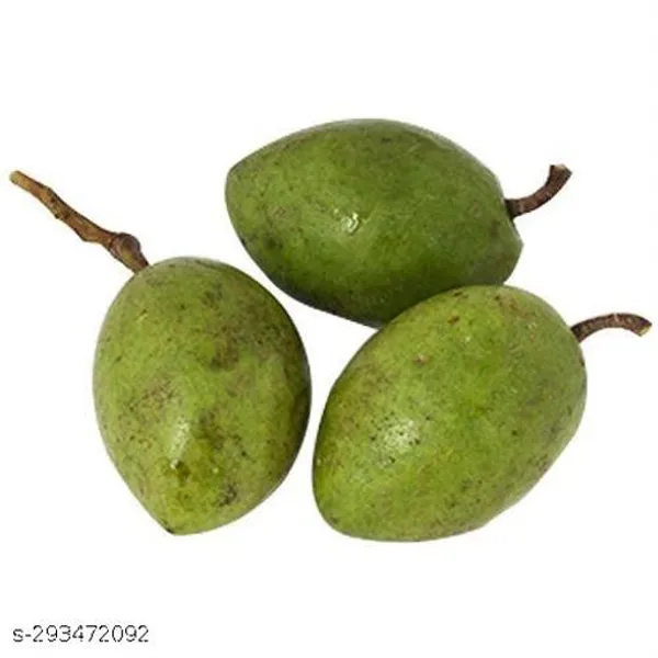 Jalpai_Fruit_Plant