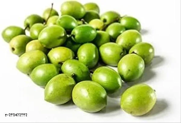 Jalpai_Fruit_Plant