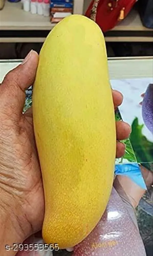 Yellow_Banana_Mango_Fruit_Plant