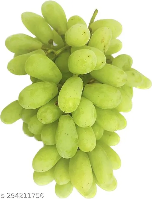 Green_Long_Grape_Angoor_Sweet_Plant