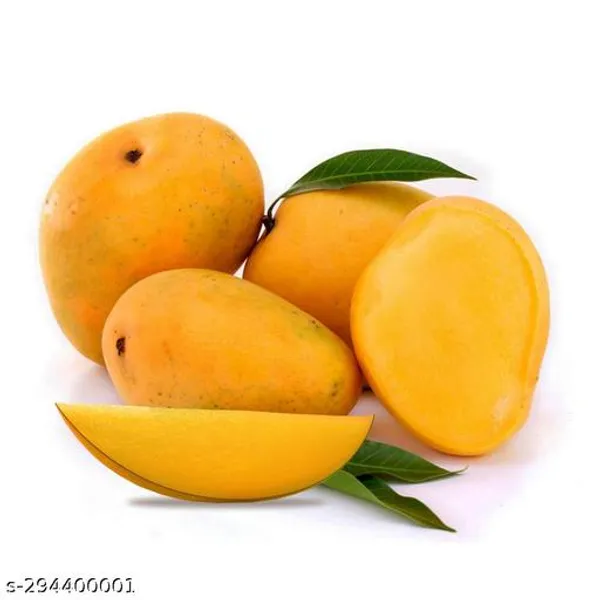 All_Time_Mango_Tree_Plant