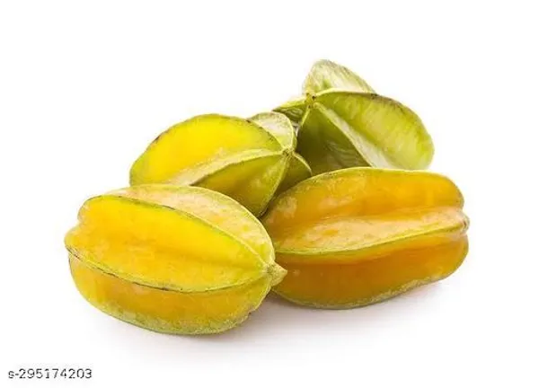 Plant_Paradise_Grafted_Star_Fruit_Plant