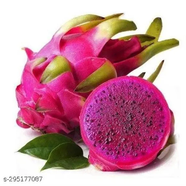 Dragon_Fruit_Combo_Pack_Of_3