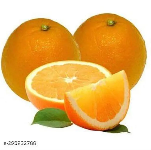Combo_Pack_Of_Hybrid_Pati_Lemon_Seedless_Lemon_Malta_Lemon_Orange_Fruit_Plant_Pack_Of_4