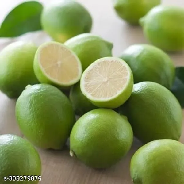 Kolkata_Pati_Lemon_Fruit_Tree_Plant