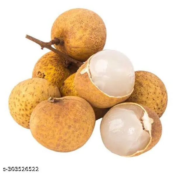 Longan_Fruit_Plant_Aish_Fruit_Plant
