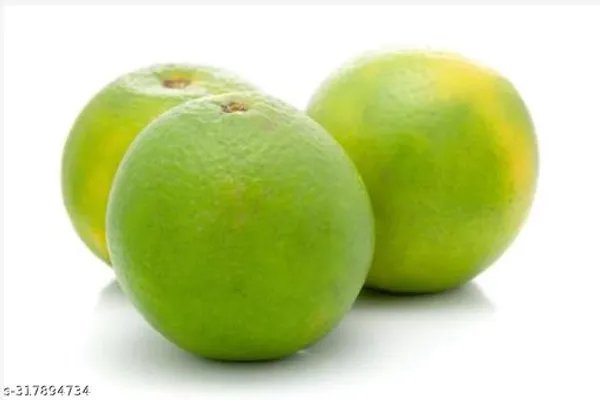 All_Time_Lemon_Plant_Hybrid