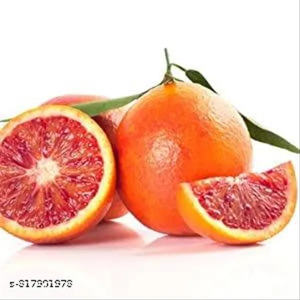 Red_Malta_Lemon_Fruit_Plant