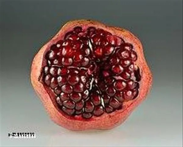 Pomegranate_Dalim_Annar_Fruit_Plant