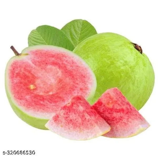 Traders_Rare_Taiwan_Pink_Amrud_Plant_Fruit_Tree_Guava_Rare_Apple_Guava_Pink_Flesh_Shape_1_Berry_Outdoor_Garden_Plant