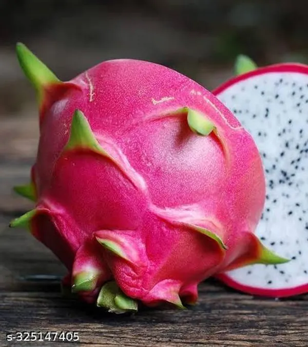 Dragon_Fruit_Plant_Grow_From_Seeds_Combo_Pack_Of_3