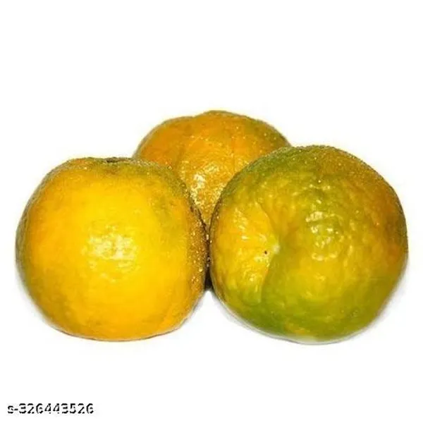 Nagpuri_All_Time_Hybrid_Sweet_Orange_Santra_Grafted_Fruit_Plant_Tree