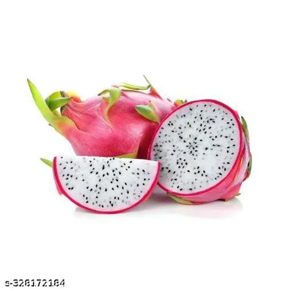 Dragon_Fruit_Plant_Combo_Pack_Of_3