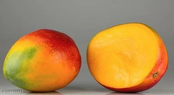 All_Time_Mango_Plant