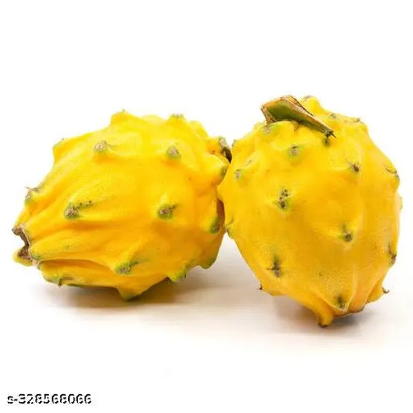 Dragon_Hybrid_Plant_Combo_Pack_Of_3