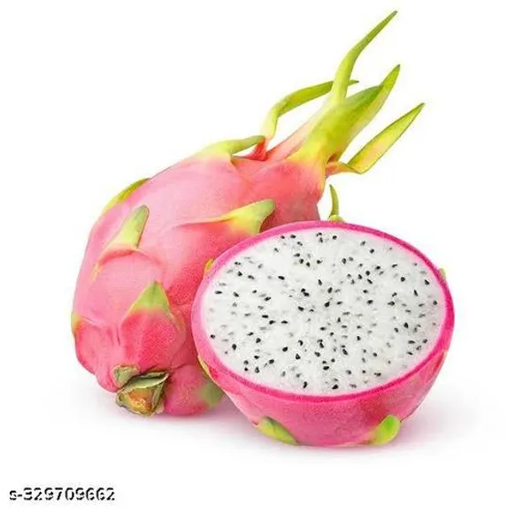 Dragon_Fruit_Plant_Hybrid_Combo_Pack_Of_3