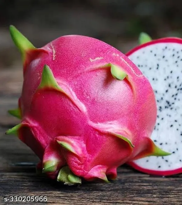 Dragon_Fruit_Plant_Combo_Pack_Of_2