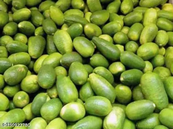 Gandharaj_Hybrid_Nimbu_Plant