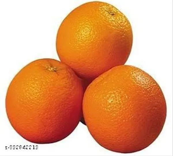 Plant_Paradise_Hybrid_Orange_Plant