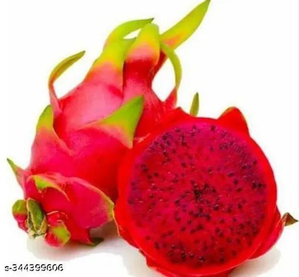 Hybrid_Red_Dragon_Fruit_Healthy_Plant_Pack_Of_3
