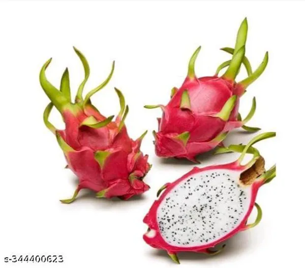 Hybrid_White_Dragon_Fruit_Plant_Healthy_Plant_Pack_Of_3