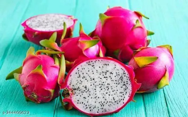 Hybrid_White_Dragon_Fruit_Plant_Healthy_Plant_Pack_Of_3
