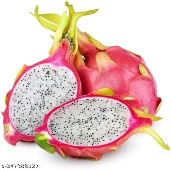 Rare_Pink_White_Dragon_Fruit_Plant_Combo_Hybrid_Pack_Of_2