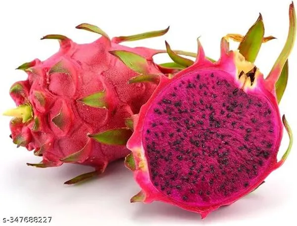 Rare_Pink_White_Dragon_Fruit_Plant_Combo_Hybrid_Pack_Of_2