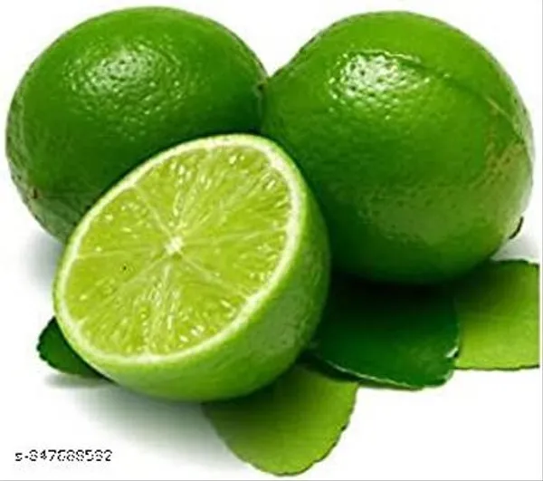 Altime_Hybrid_Seedless_Pati_Lemon_With_Dragon_Fruit_Plant_Combo_Pack_Of_2