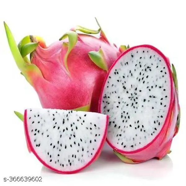 All_Time_Dragon_Fruit_Plant_Combo_Pack_Of_3