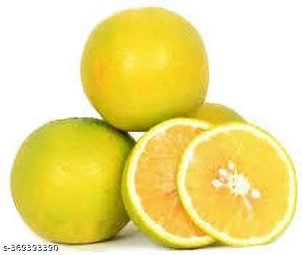 Hybrid_Mousumi_Lemon_Fruit_Plant