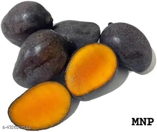 Kasturi_Black_Mango_Kala_Aam_Grafted_Plant_Hybrid