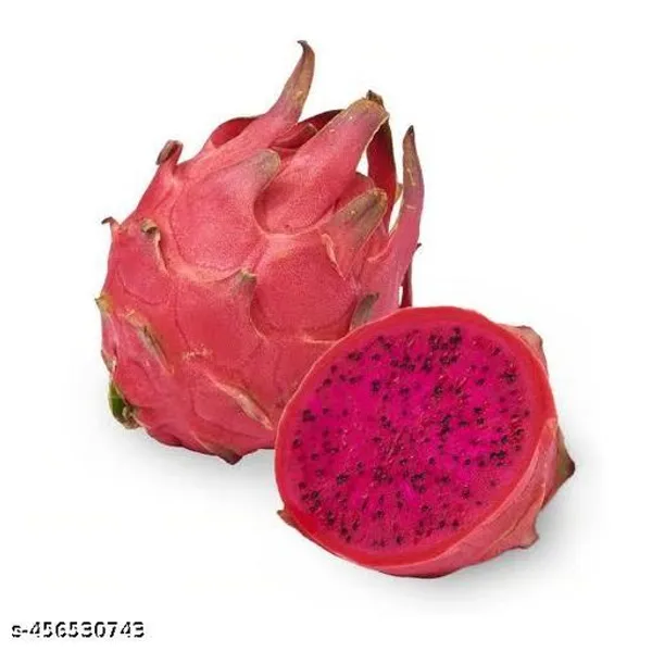 Dragon_Fruit_Plant_Pack_Of_5