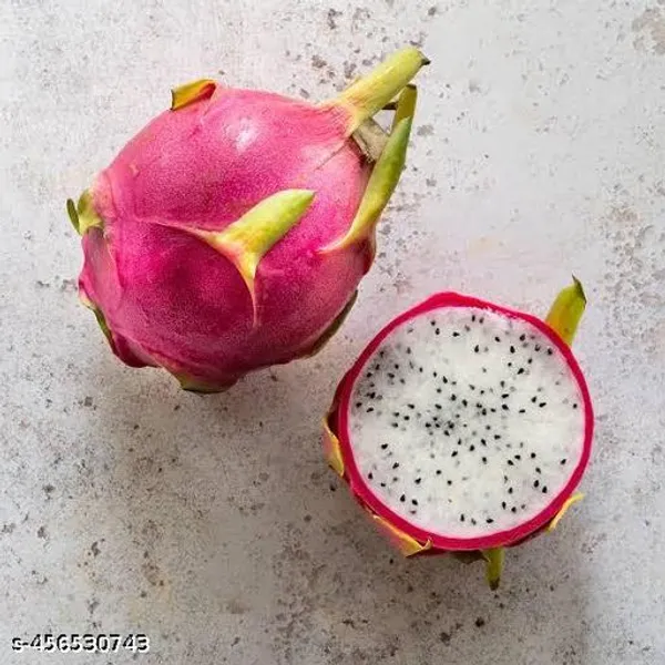 Dragon_Fruit_Plant_Pack_Of_5