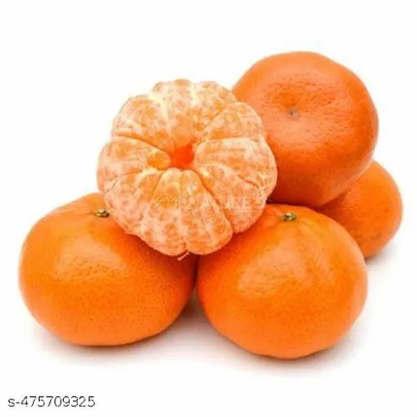 Darjeeling_Orange_Plant_Grafted_Hybrid_Grafted_Red_Orange_Plant_All_Season_Home_Garden_Tree
